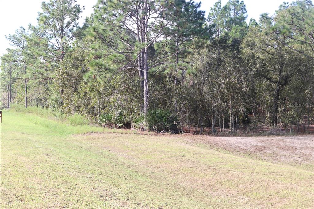 125 Ct Road Dunnellon, FL 34432 - Photo 1 of 1 Gallery Image 1