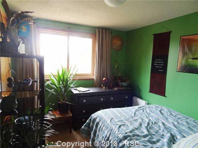 4265 Cedar Mountain Road Divide, CO 80814 - Photo 12 of 24 Gallery Image 12