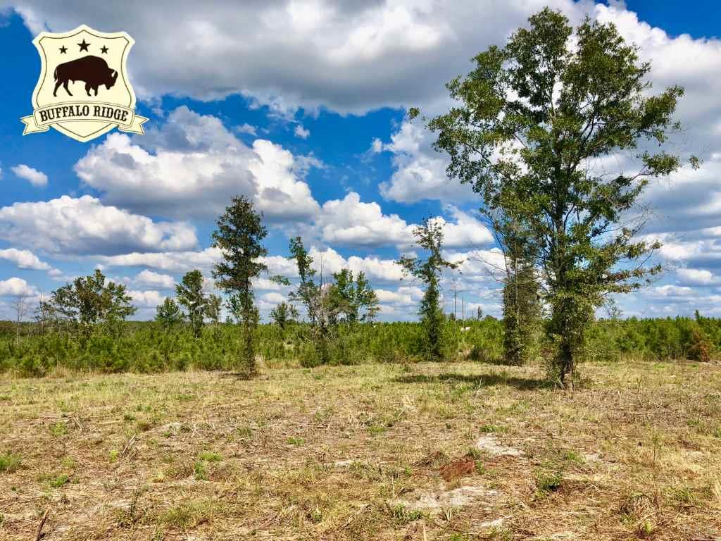 Lot 29-br Buffalo Ridge Road Pace, FL 32571 - Photo 1 of 10