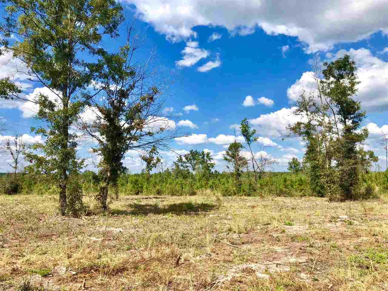 Lot 29-br Buffalo Ridge Road Pace, FL 32571 - Photo 3 of 10