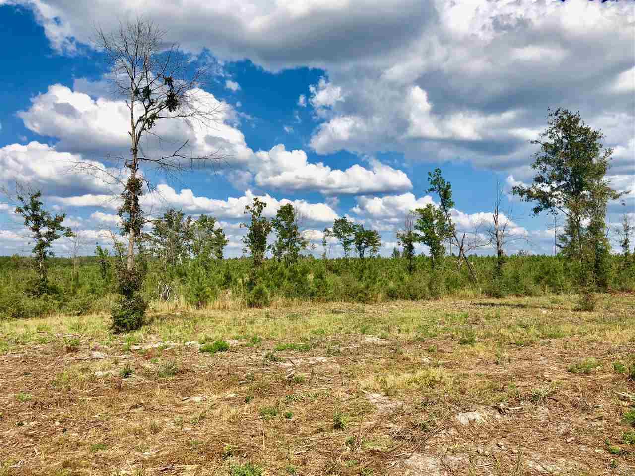 Lot 29-br Buffalo Ridge Road Pace, FL 32571 - Photo 4 of 10