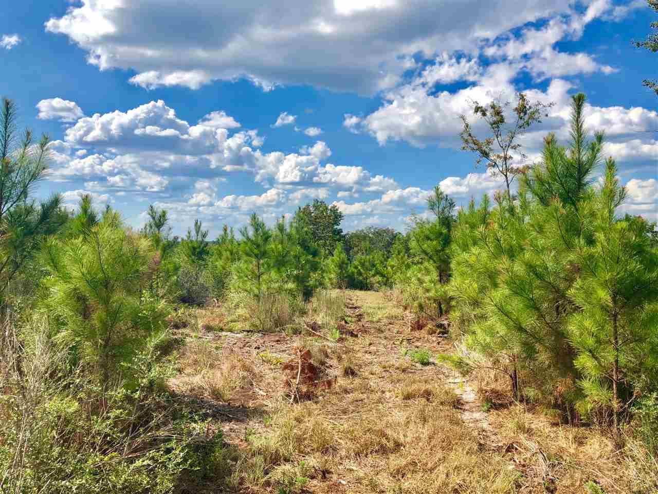 Lot 29-br Buffalo Ridge Road Pace, FL 32571 - Photo 5 of 10