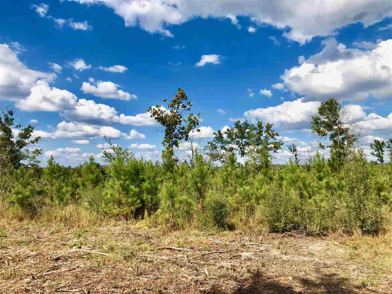 Lot 29-br Buffalo Ridge Road Pace, FL 32571 - Photo 6 of 10
