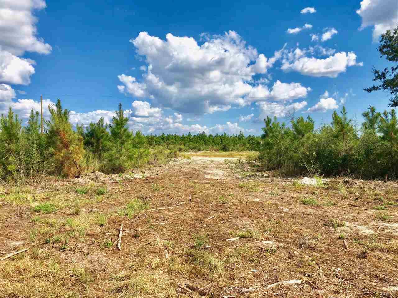 Lot 29-br Buffalo Ridge Road Pace, FL 32571 - Photo 7 of 10