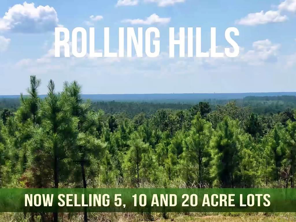 Lot 29-br Buffalo Ridge Road Pace, FL 32571 - Photo 10 of 10