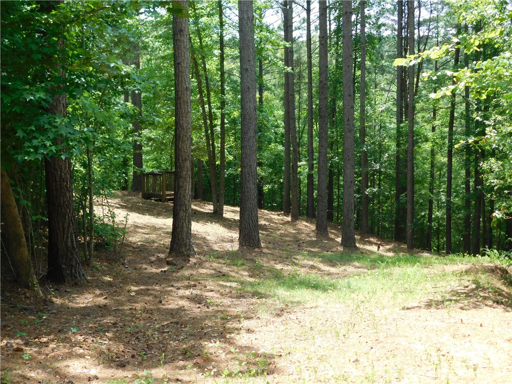 309 Broadleaf Court Salem, SC 29676 - Photo 2 of 12