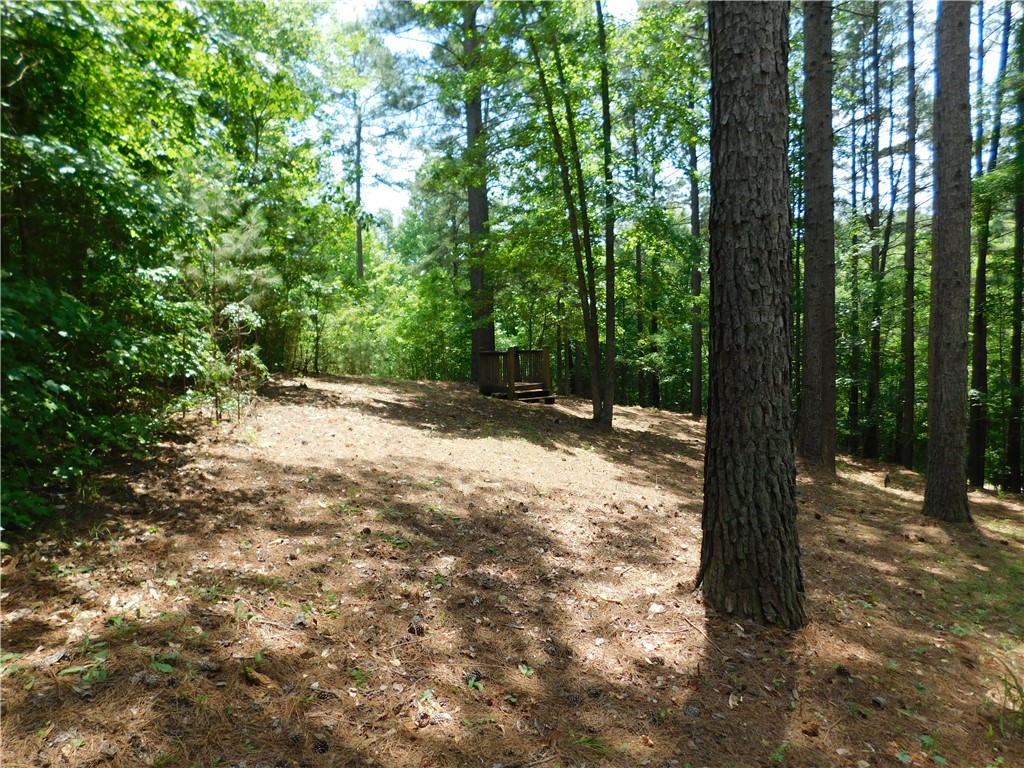 309 Broadleaf Court Salem, SC 29676 - Photo 3 of 12