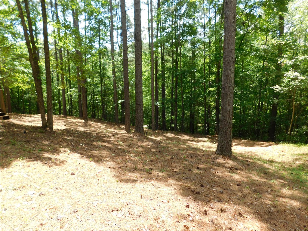 309 Broadleaf Court Salem, SC 29676 - Photo 4 of 12