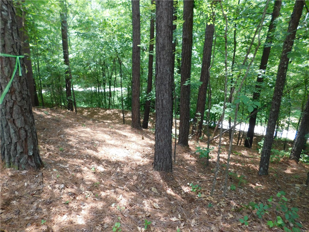 309 Broadleaf Court Salem, SC 29676 - Photo 8 of 12