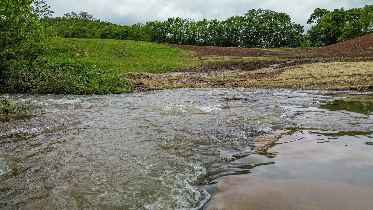 0 Ostella Road Cornersville, TN 37047 - Photo 1 of 37 a view of a field with trees