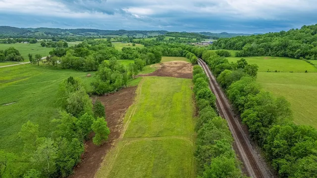 a view of a city with lush green forest