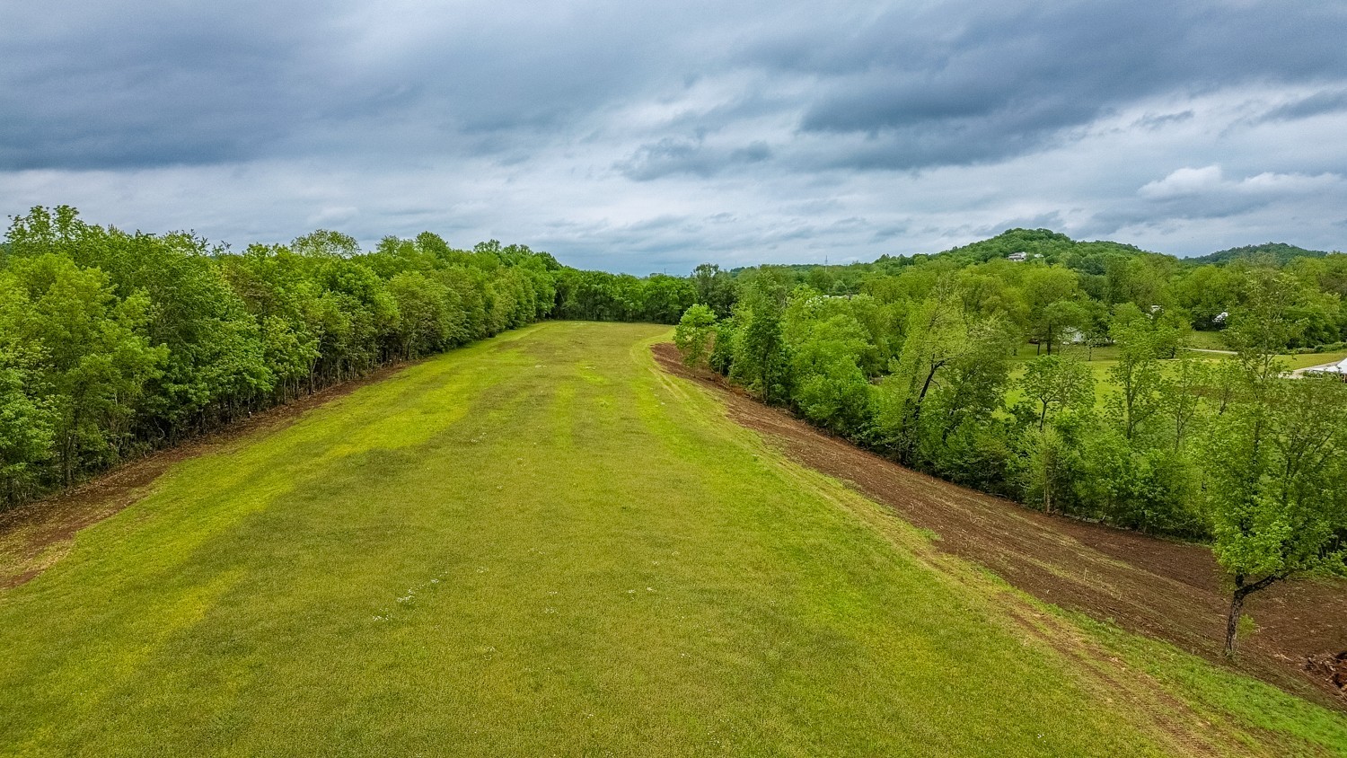 0 Ostella Road Cornersville, TN 37047 - Photo 18 of 37 a view of a yard with an trees