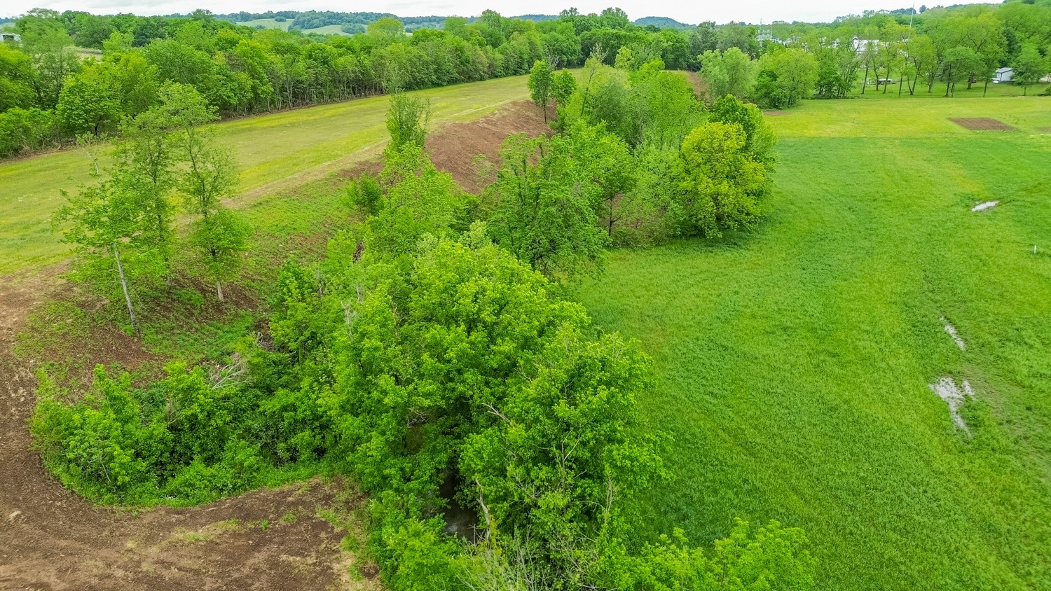 0 Ostella Road Cornersville, TN 37047 - Photo 21 of 37 a view of a green field with an ocean view