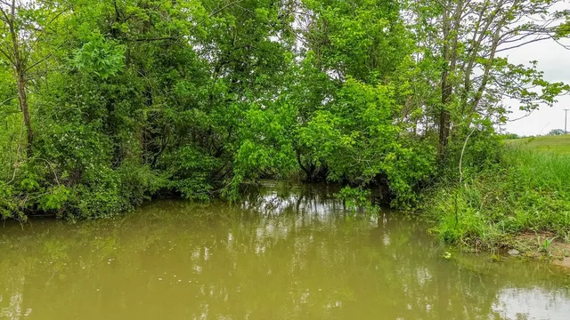 a view of an outdoor space and a yard