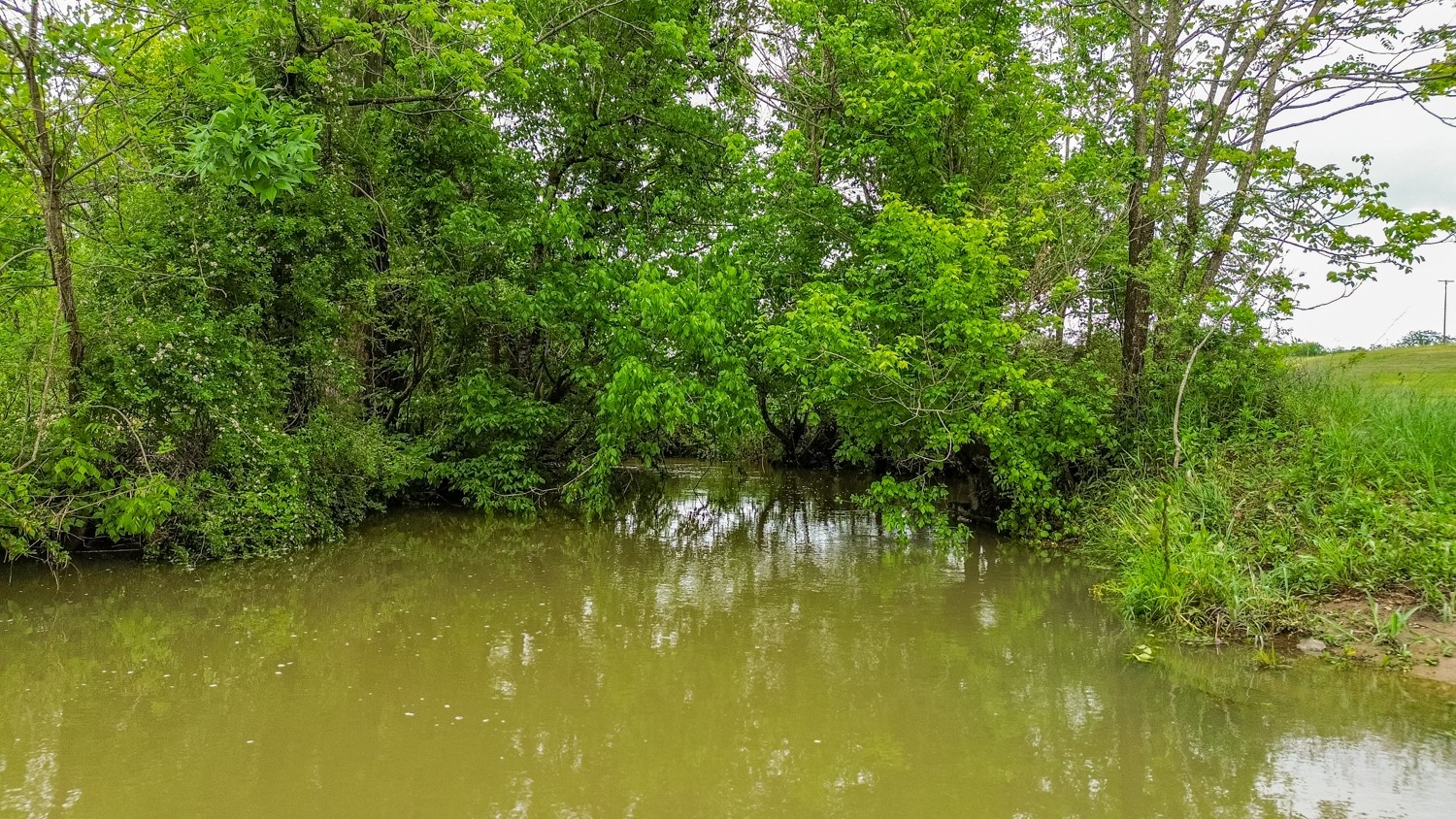 0 Ostella Road Cornersville, TN 37047 - Photo 23 of 37 a view of a lake view