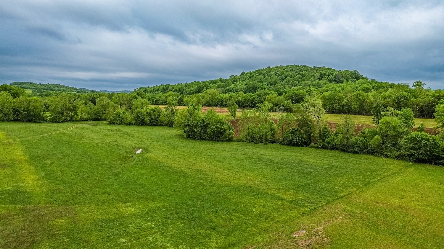 0 Ostella Road Cornersville, TN 37047 - Photo 25 of 37 a view of a garden with a building in the background