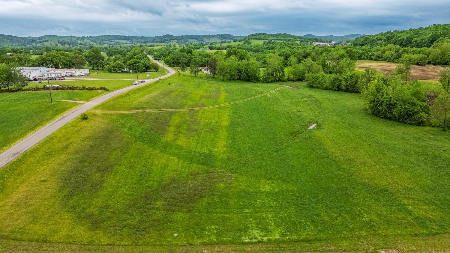 0 Ostella Road Cornersville, TN 37047 - Photo 8 of 37 a view of a big yard with potted plants and large trees