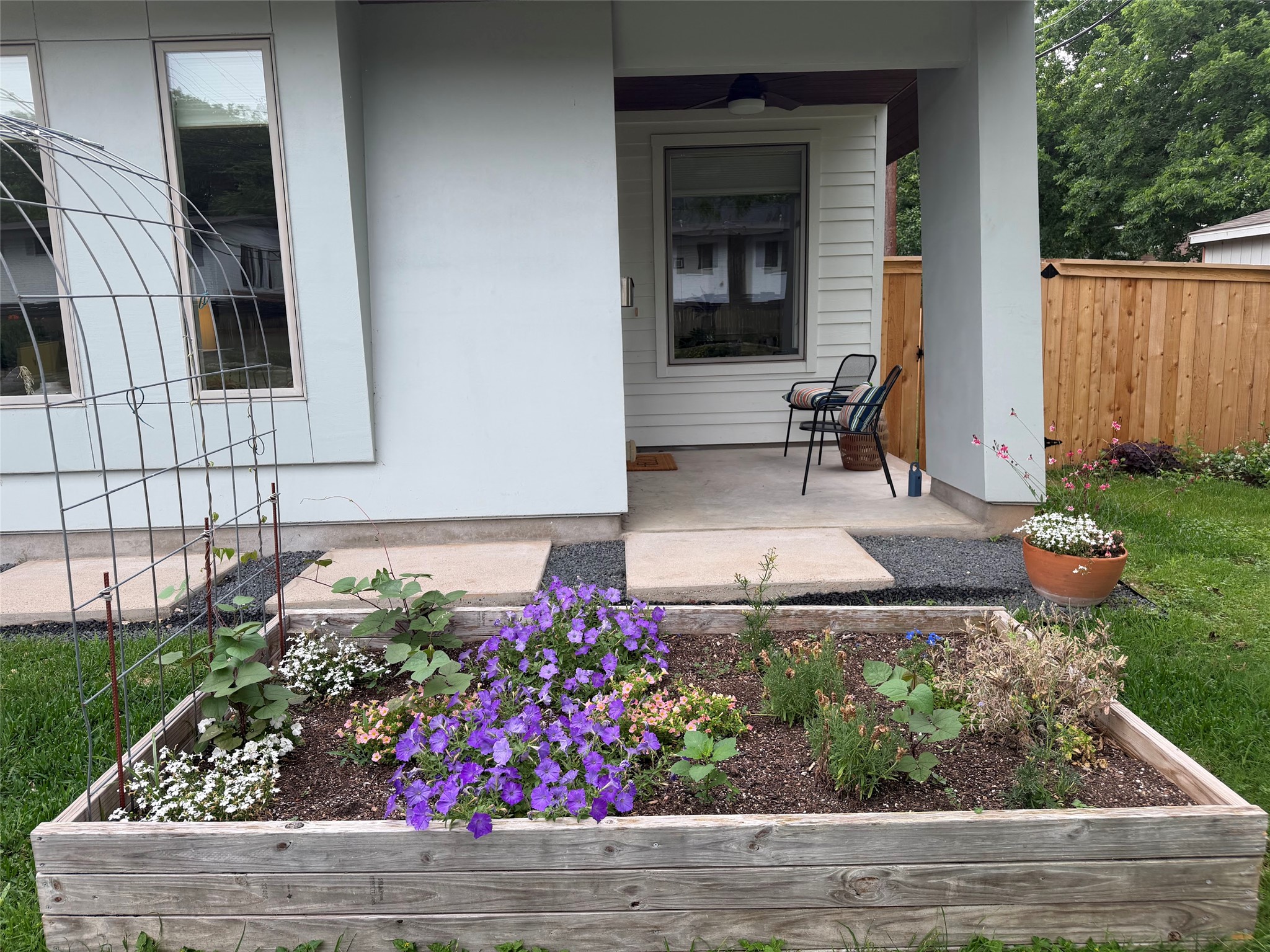 5305 Guadalupe Street, Unit A Austin, TX 78751 - Photo 29 of 31 Landscaped garden bed with flourishing purple and white blooms