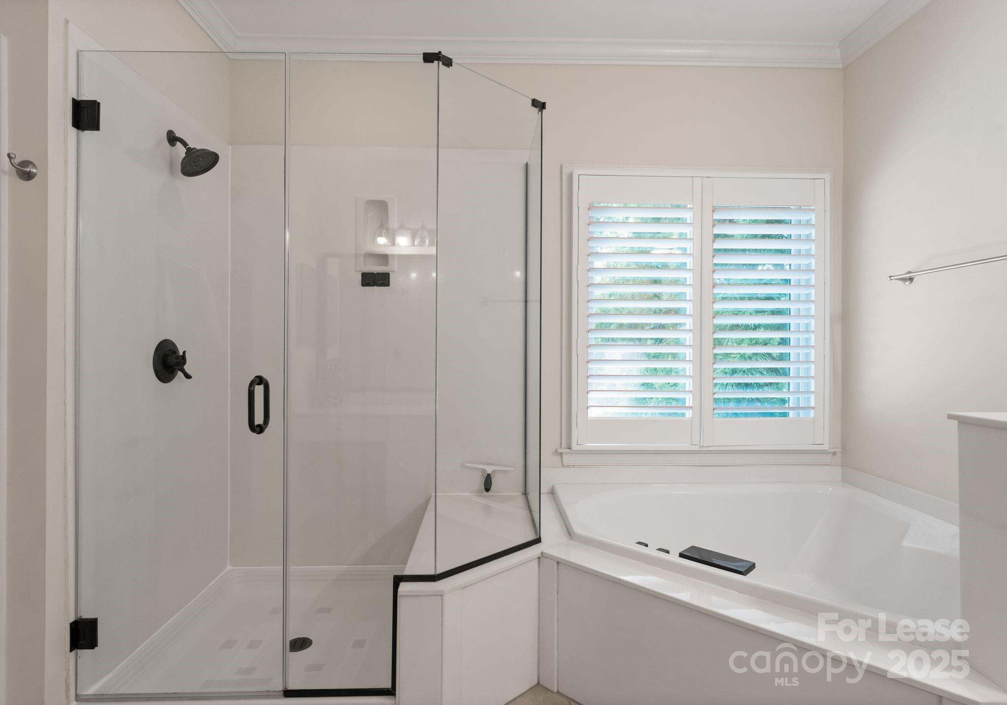 18807 Dembridge Drive Davidson, NC 28036 - Photo 25 of 35 a bathroom with a bath tub and a shower