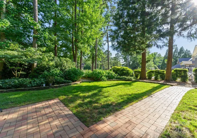a view of a park with plants and trees