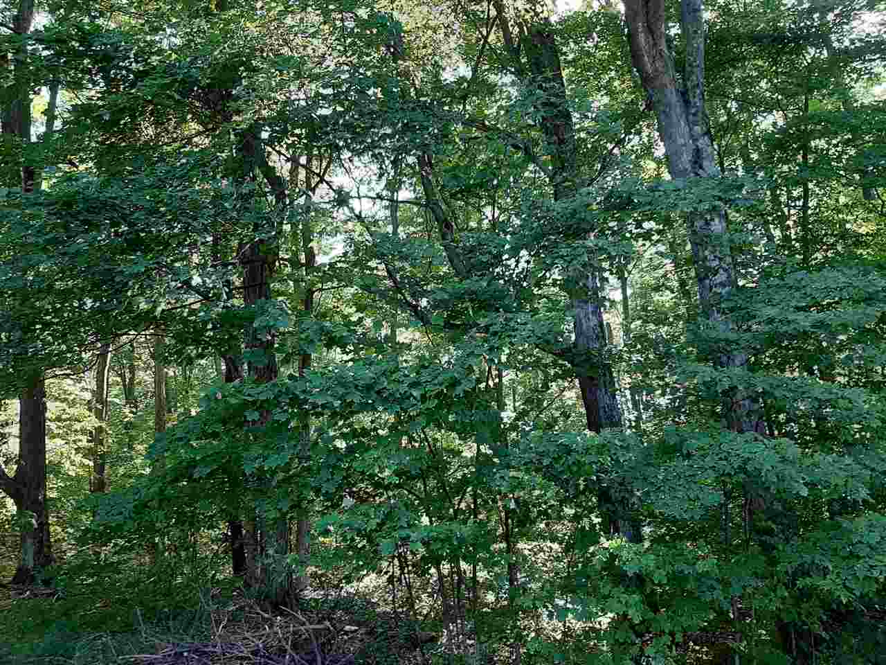 11987 West 14 Road Mesick, MI 49668 - Photo 94 of 99