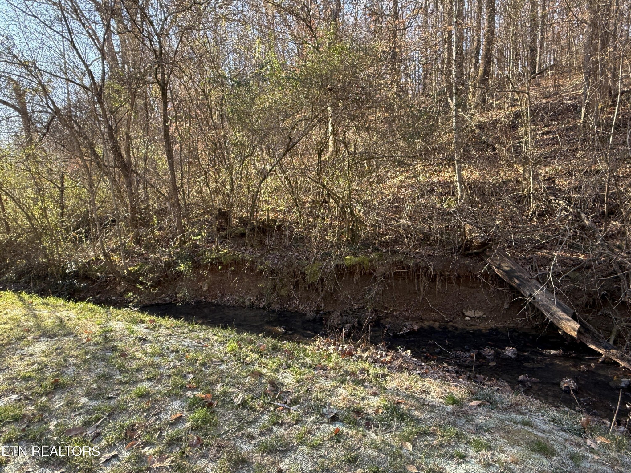 8211 Barker Road Corryton, TN 37721 - Photo 17 of 18