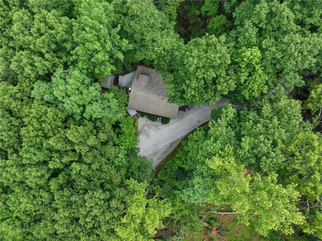 202 Crystal Hill Road Clarkesville, GA 30523 - Photo 5 of 39
