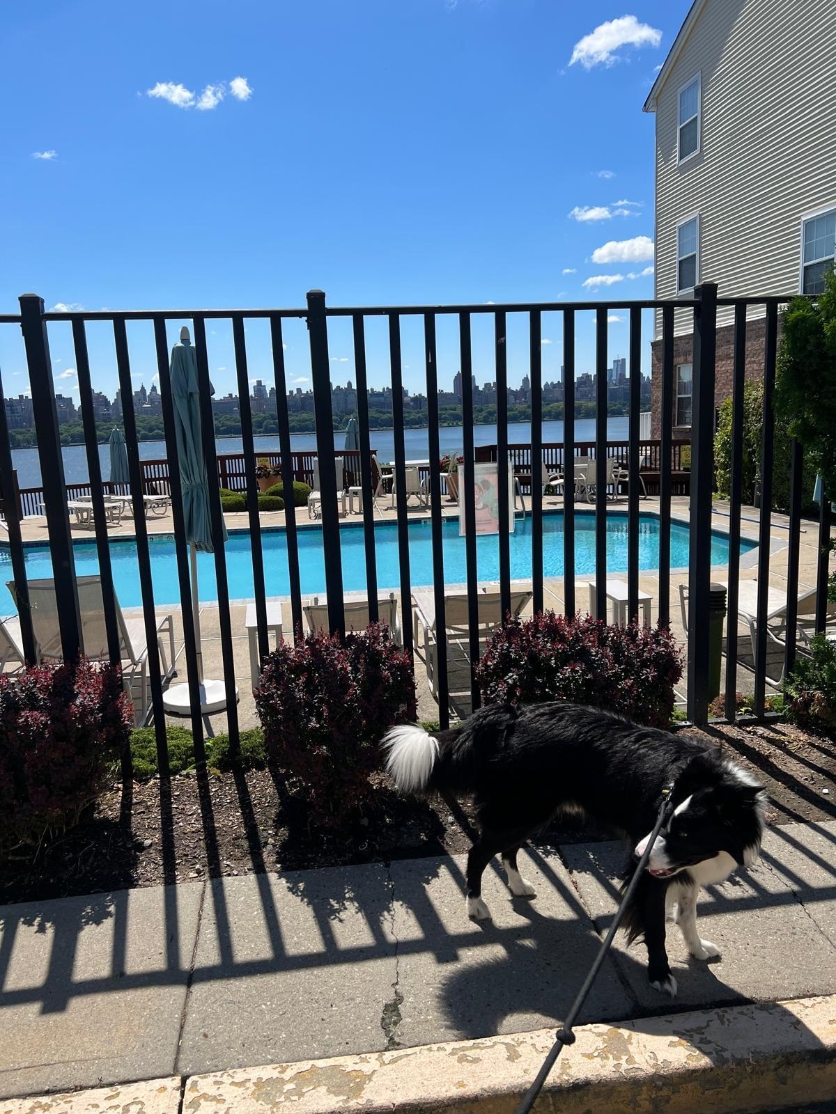 20 Bergen Ridge Road, Unit 2 North Bergen, NJ 07047 - Photo 15 of 16