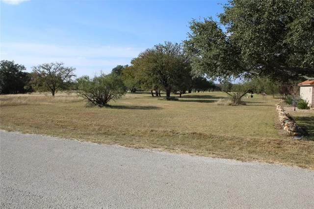 a view of dirt yard with a large tree