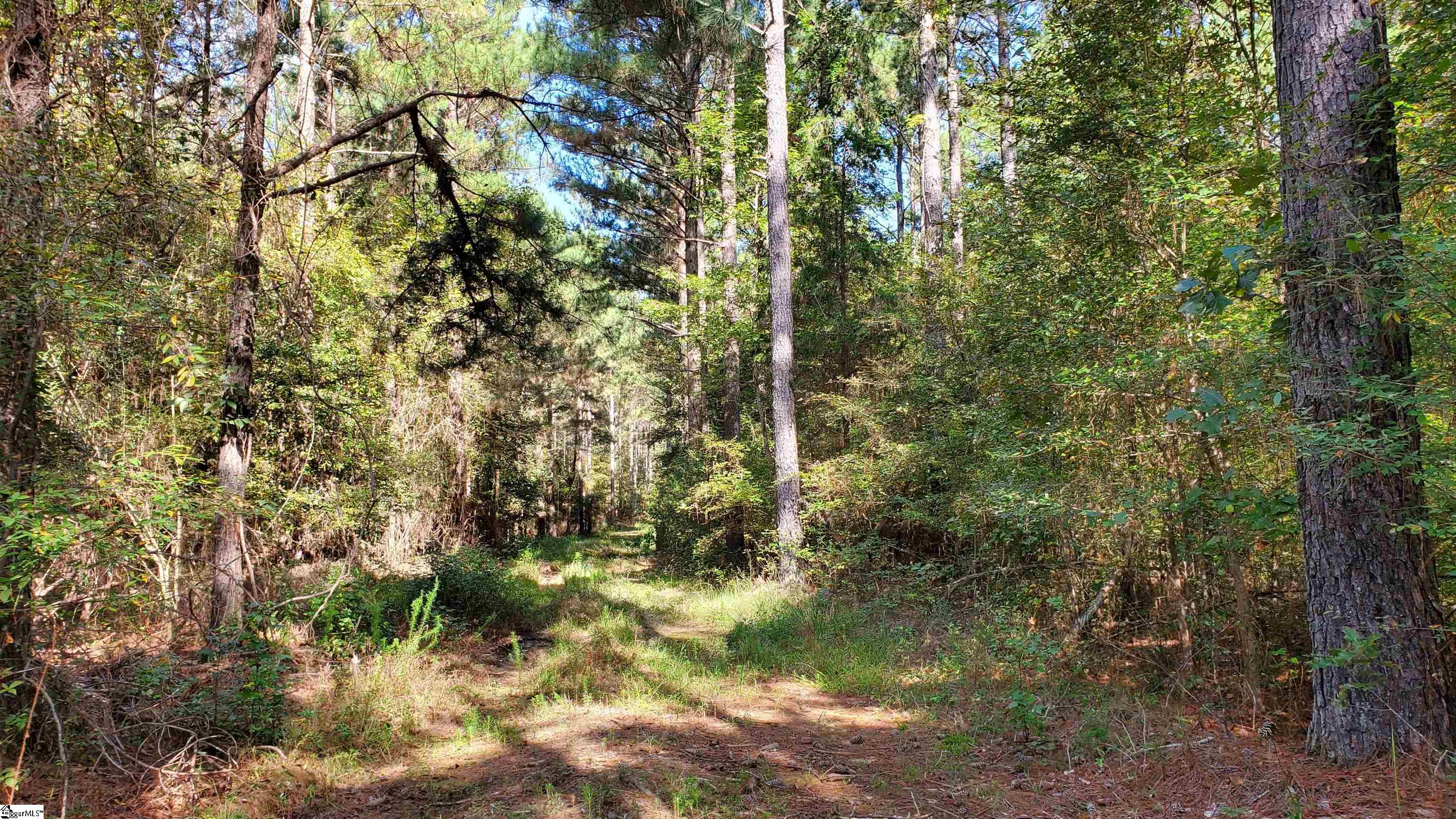 Mt Willing Road Saluda, SC 29138 - Photo 2 of 15