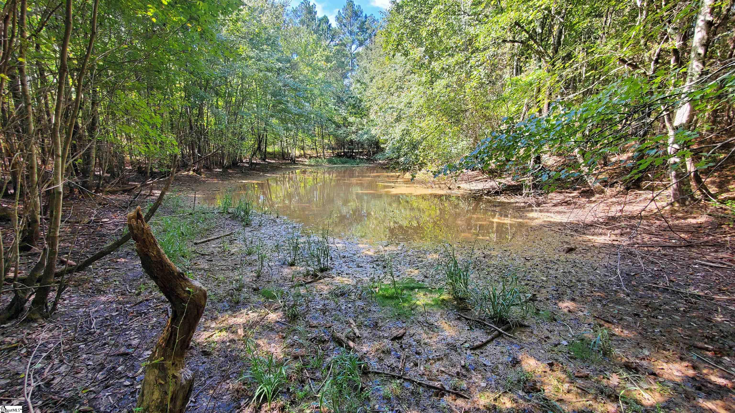 Mt Willing Road Saluda, SC 29138 - Photo 11 of 15