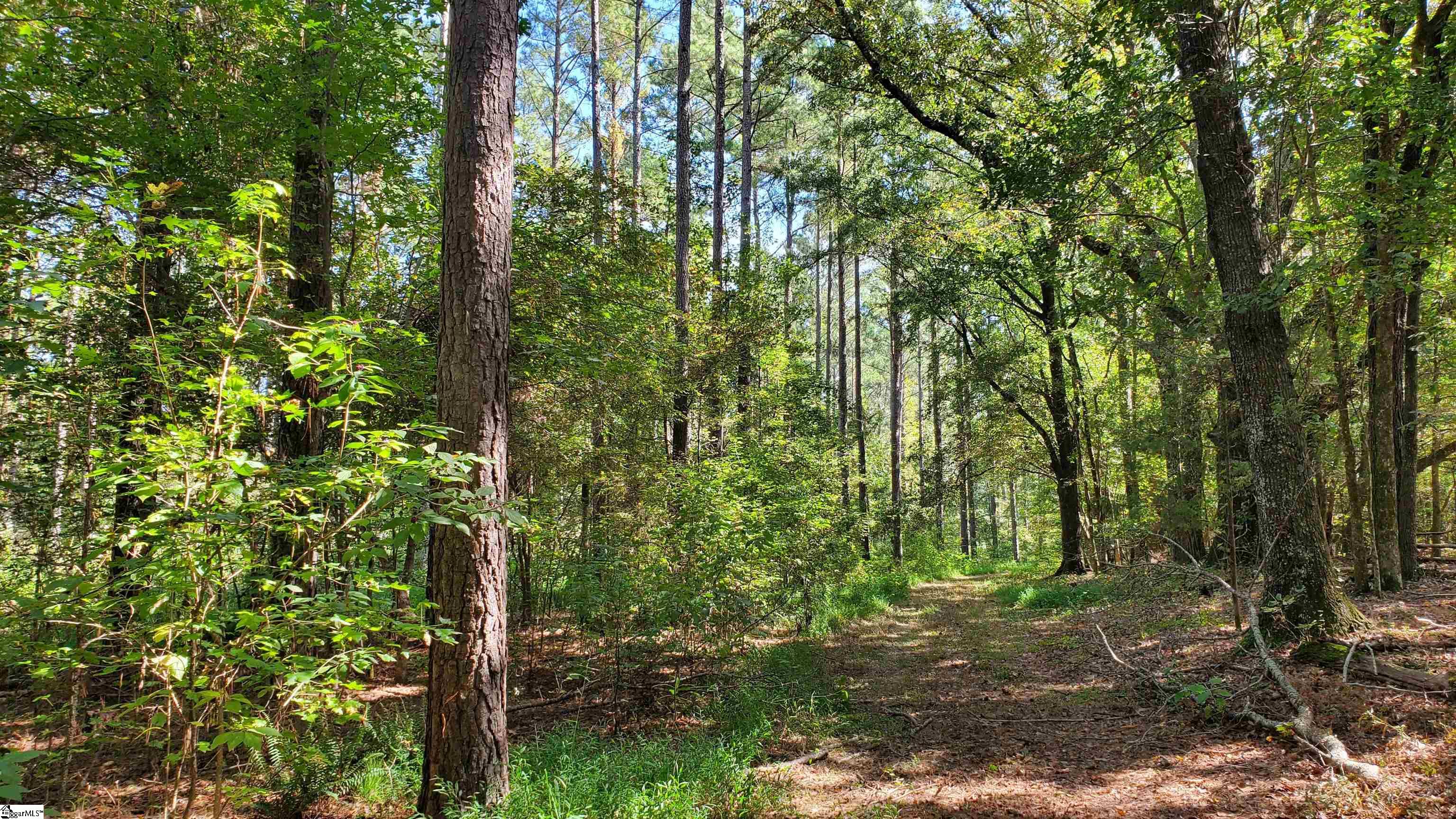 Mt Willing Road Saluda, SC 29138 - Photo 14 of 15