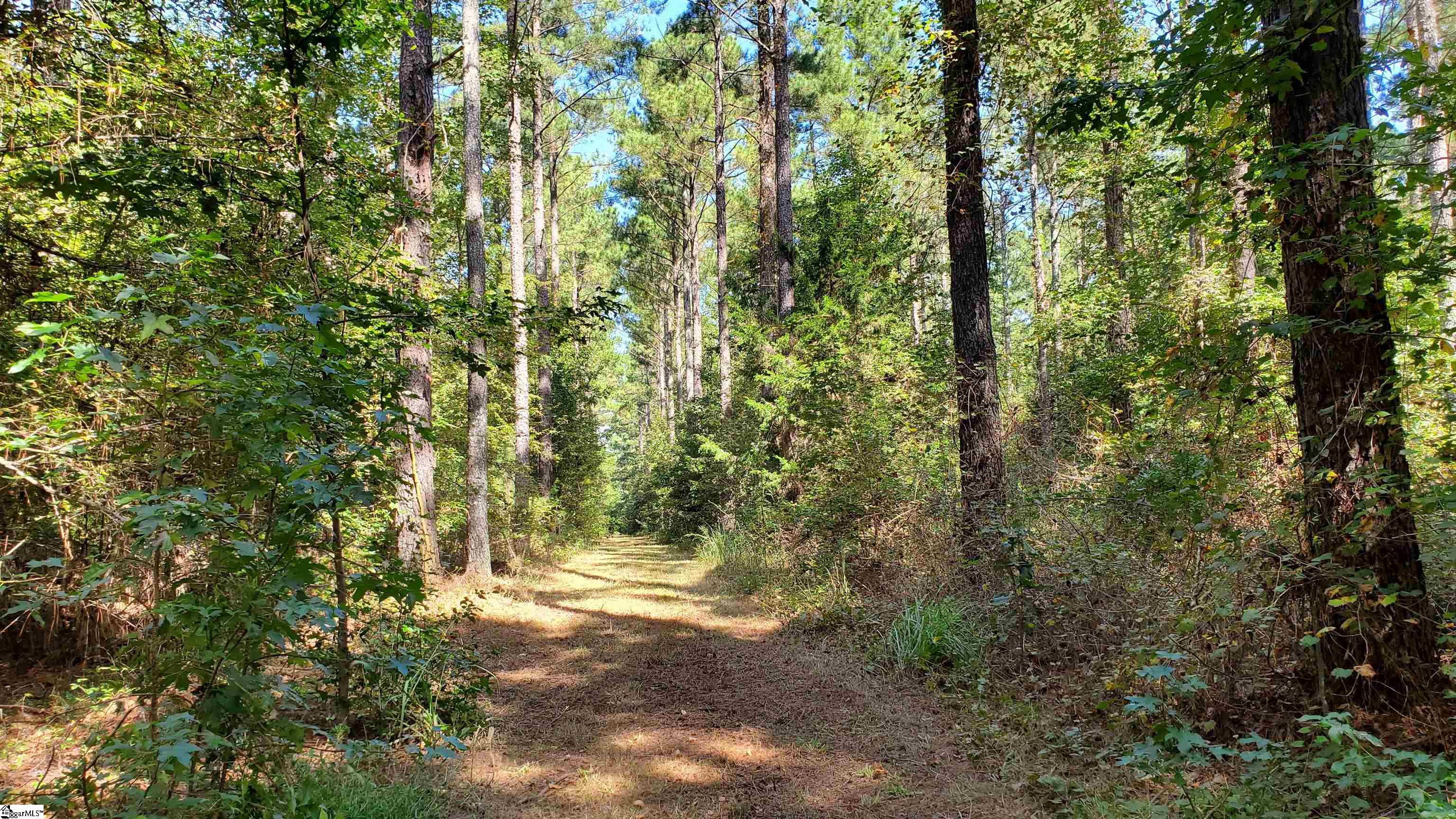 Mt Willing Road Saluda, SC 29138 - Photo 15 of 15