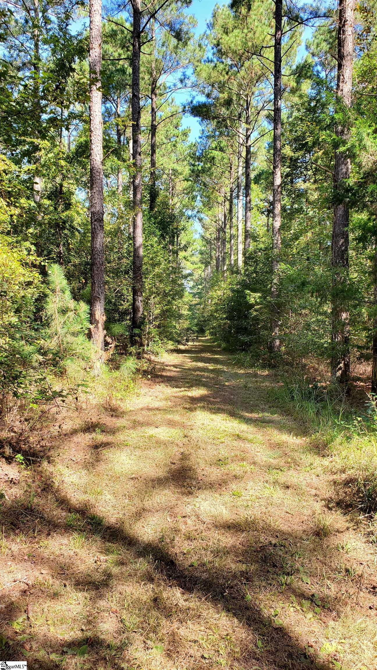 Mt Willing Road Saluda, SC 29138 - Photo 4 of 15