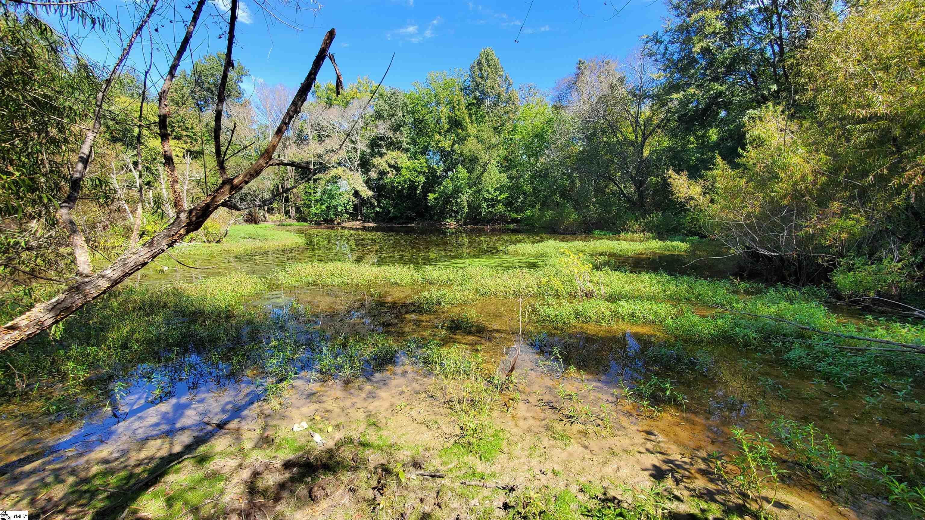Mt Willing Road Saluda, SC 29138 - Photo 5 of 15