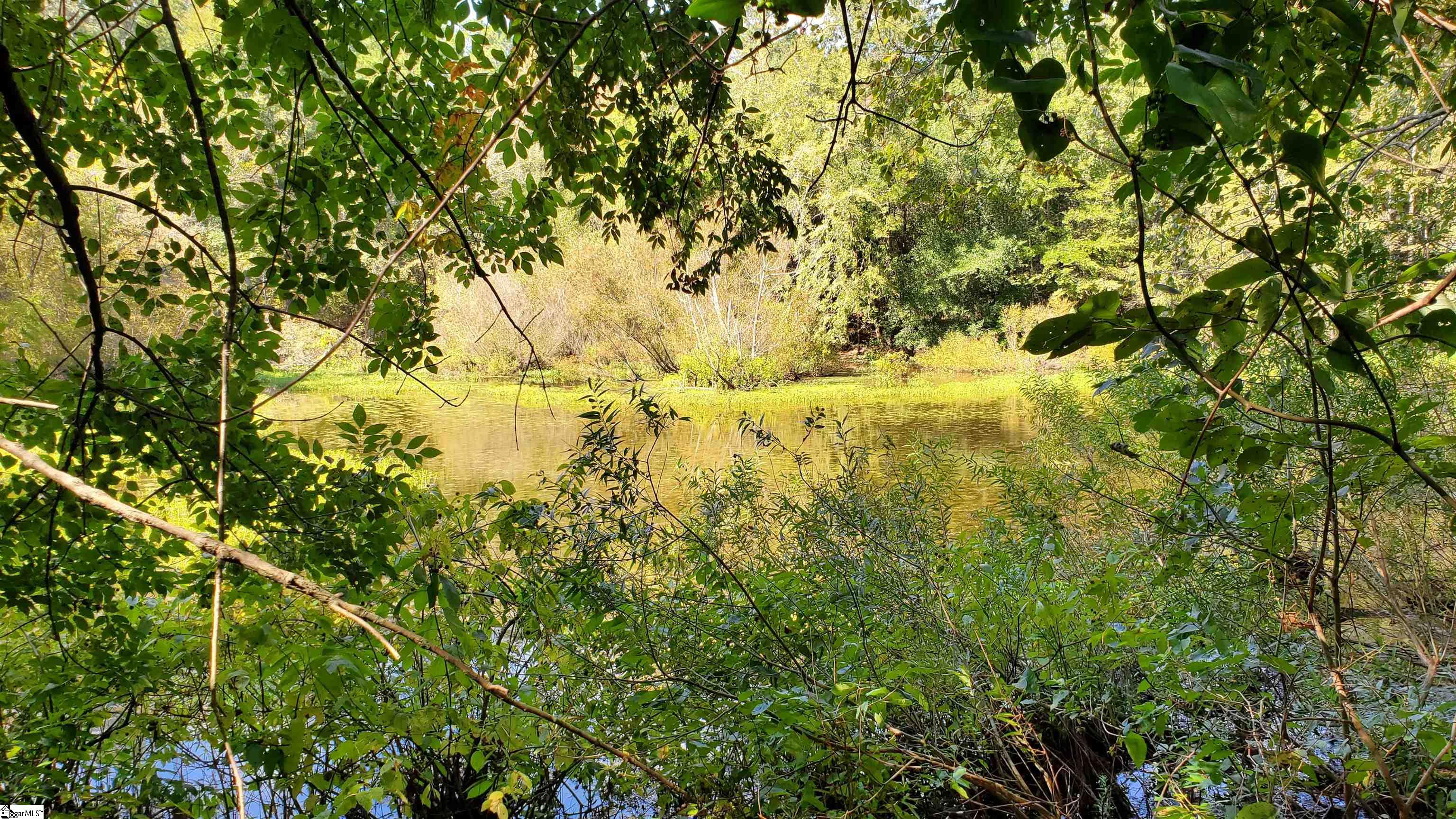 Mt Willing Road Saluda, SC 29138 - Photo 8 of 15