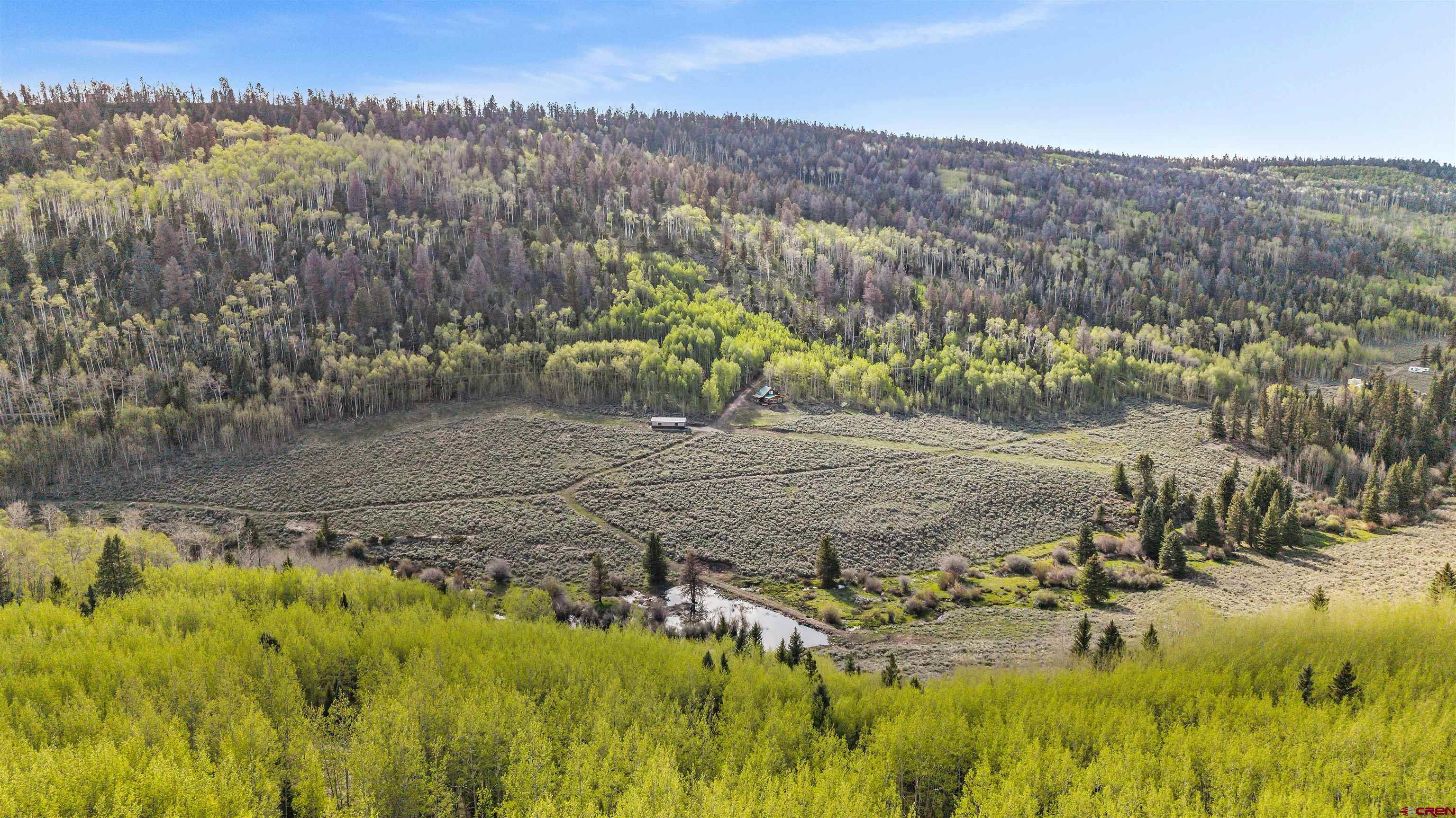1901 Armitage Springs Road Powderhorn, CO 81243 - Photo 35 of 38 Gallery Image 35