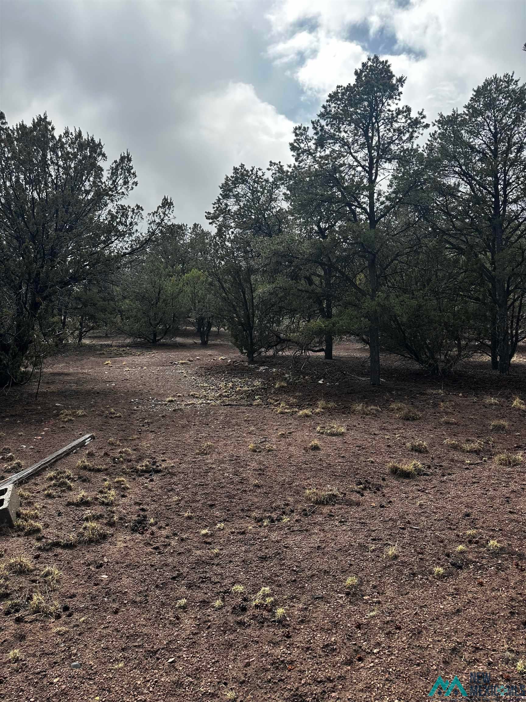 9 Juniper Way Datil, NM 87821 - Photo 12 of 13 View of nature