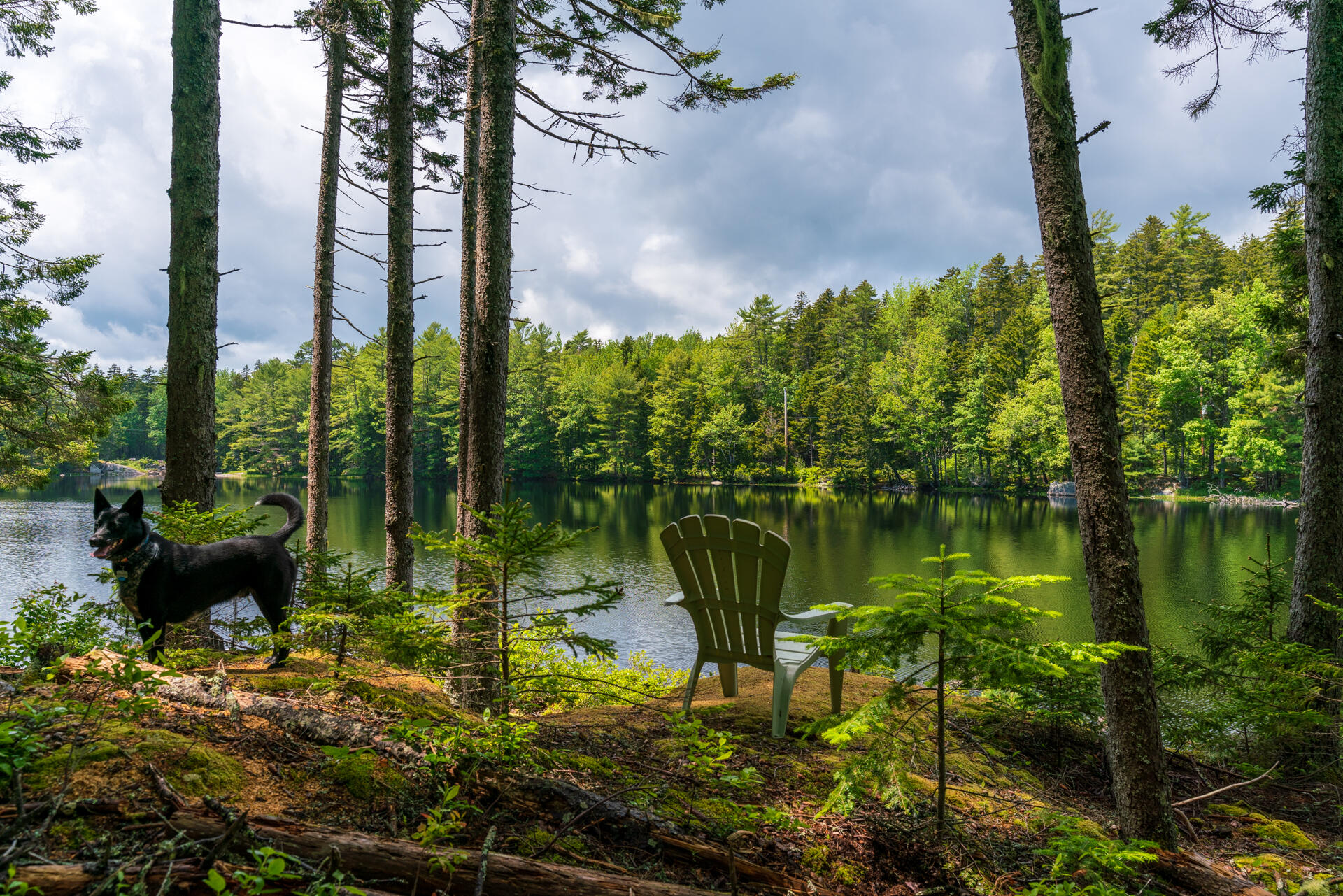 108 Forest Lake Road Friendship, ME 04547 - Photo 6 of 61 _DSC5124-HDR