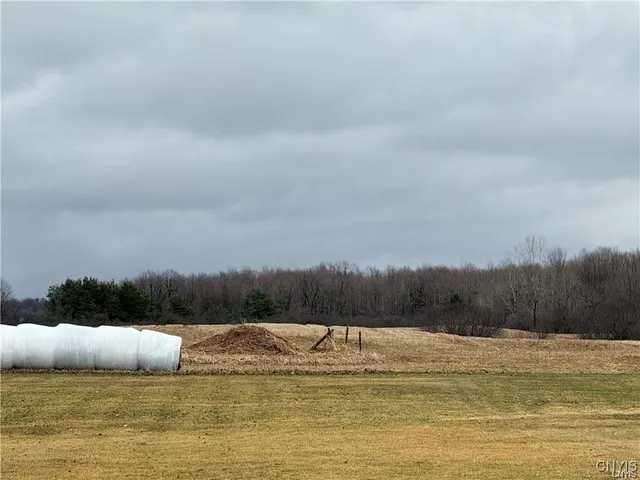 $299,900 | 24972 Plank Road, Le Ray, NY 13616