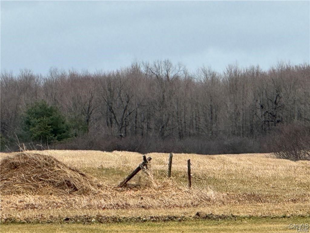 24972 Plank Road Le Ray, NY 13616 - Photo 4 of 5