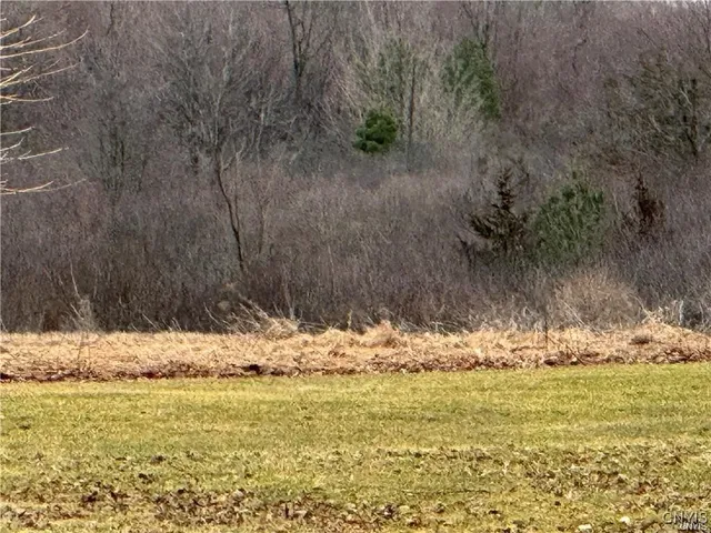 $299,900 | 24972 Plank Road, Le Ray, NY 13616