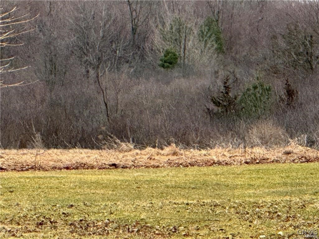 24972 Plank Road Le Ray, NY 13616 - Photo 5 of 5