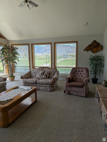 1040 West Mill Road Ferron, UT 84523 - Photo 45 of 117 Vaulted ceiling with an integrated ceiling fan light fixture
