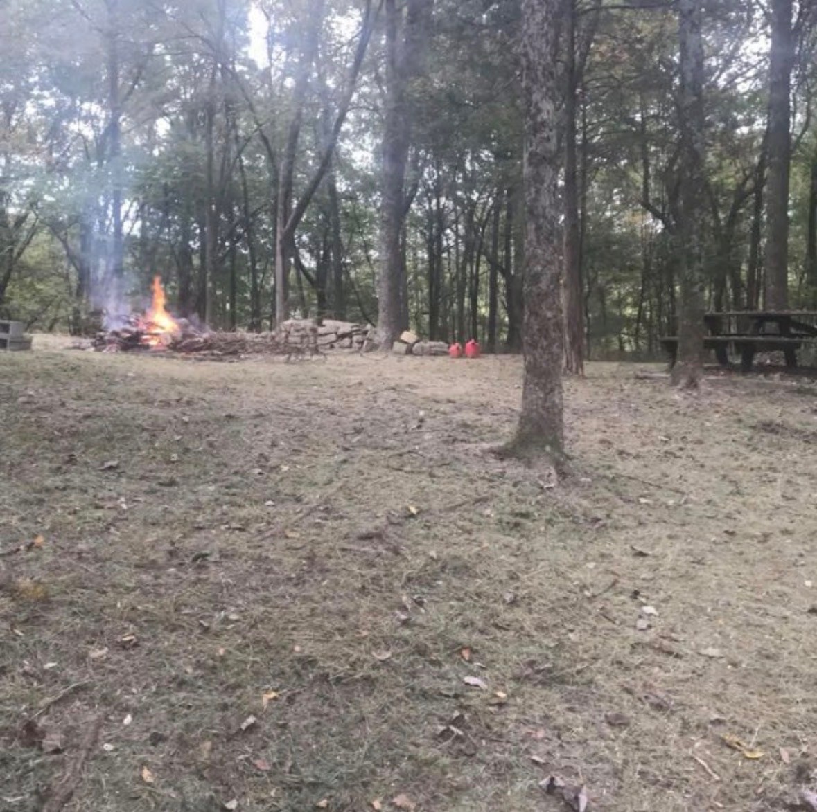 615 Rogues Fork Road Bethpage, TN 37022 - Photo 45 of 53