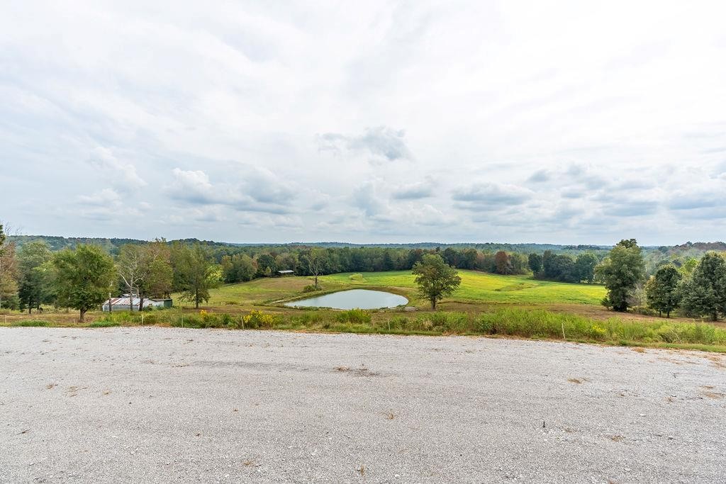 321 Archie Lane Dawson Springs, KY 42408 - Photo 30 of 42 a view of a yard