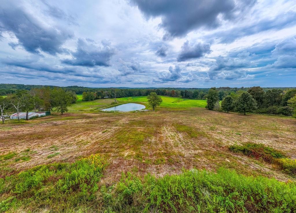 321 Archie Lane Dawson Springs, KY 42408 - Photo 32 of 42 a view of a yard with an outdoor space