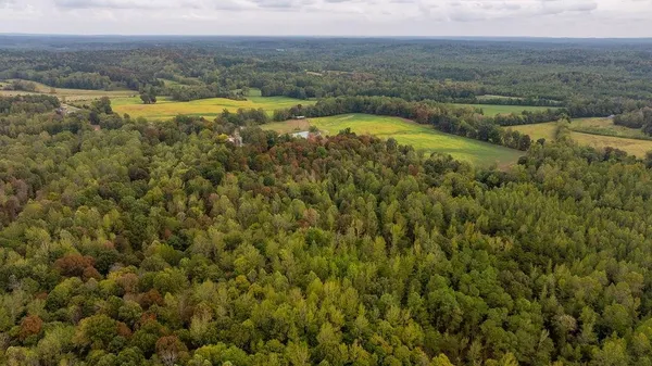 a view of a lake with a city