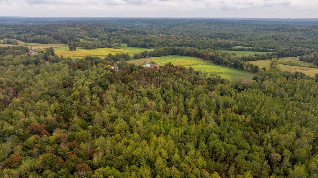 321 Archie Lane Dawson Springs, KY 42408 - Photo 42 of 42 a view of a lake with a city