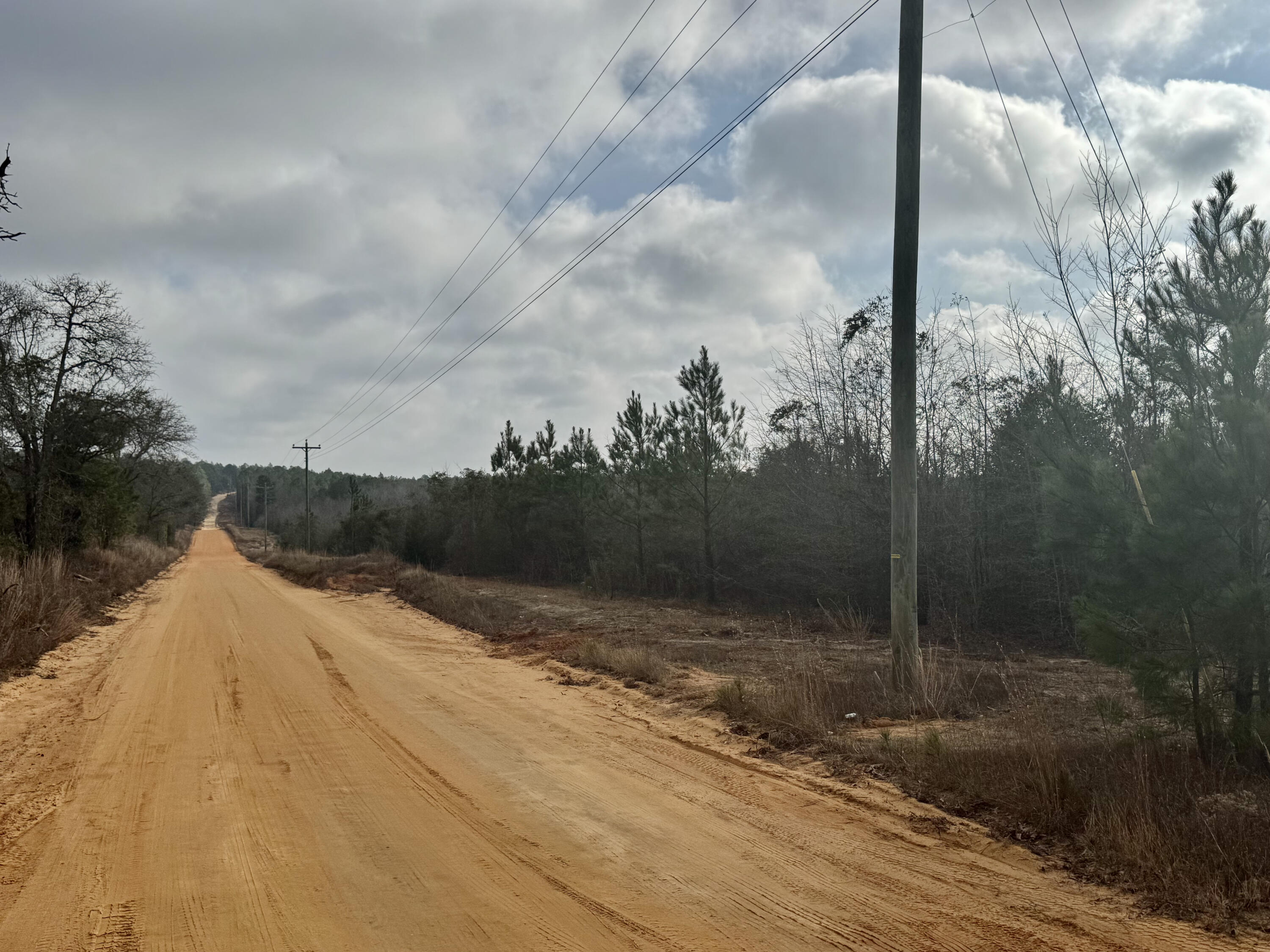 0 Thunder Road Batesburg, SC 29006 - Photo 4 of 7 IMG_5208